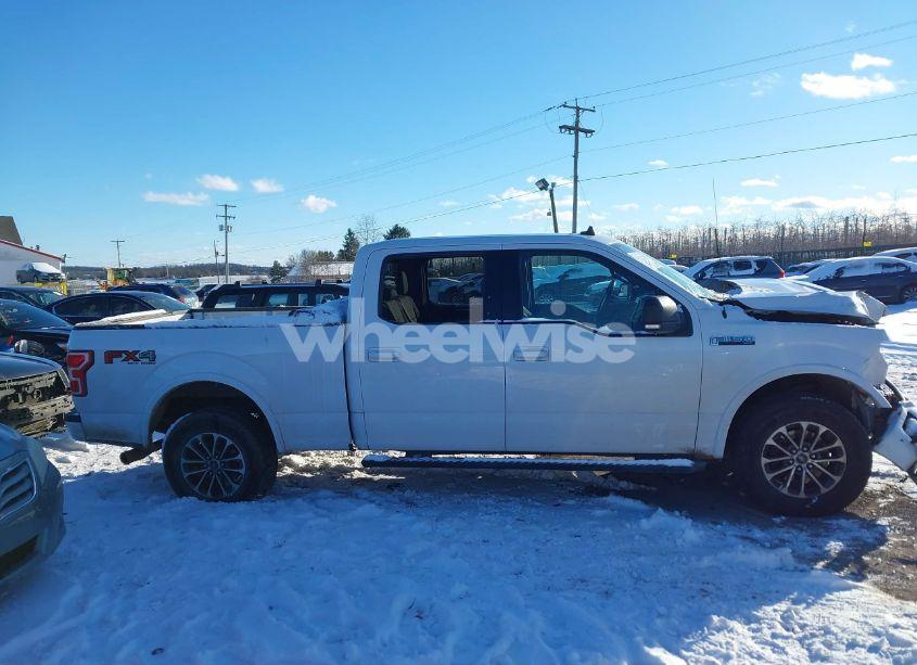 Photo 13 of 2019 Ford F-150 XLT (VIN 1FTFW1E55KFA38584)