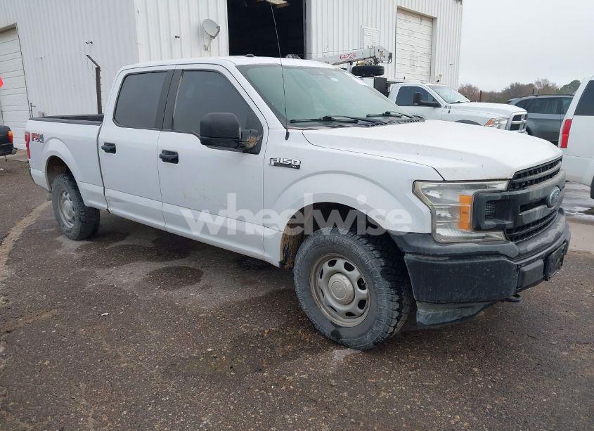 2019 Ford F-150 XL (VIN 1FTFW1E55KKE33081) main photo