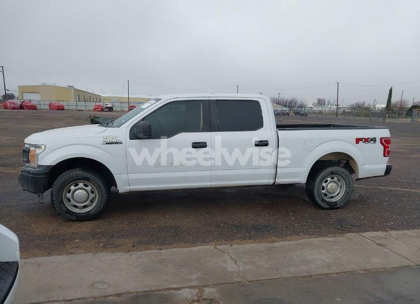 Photo 14 of 2019 Ford F-150 XL (VIN 1FTFW1E55KKE33081)