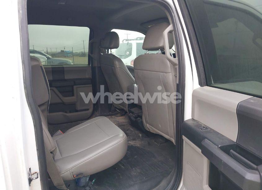 Photo 8 of 2019 Ford F-150 XL (VIN 1FTFW1E55KKE33081)