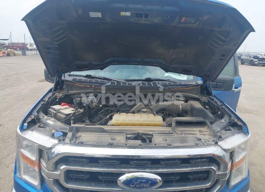 Photo 10 of 2021 Ford F-150 XLT (VIN 1FTFW1E55MFB60428)