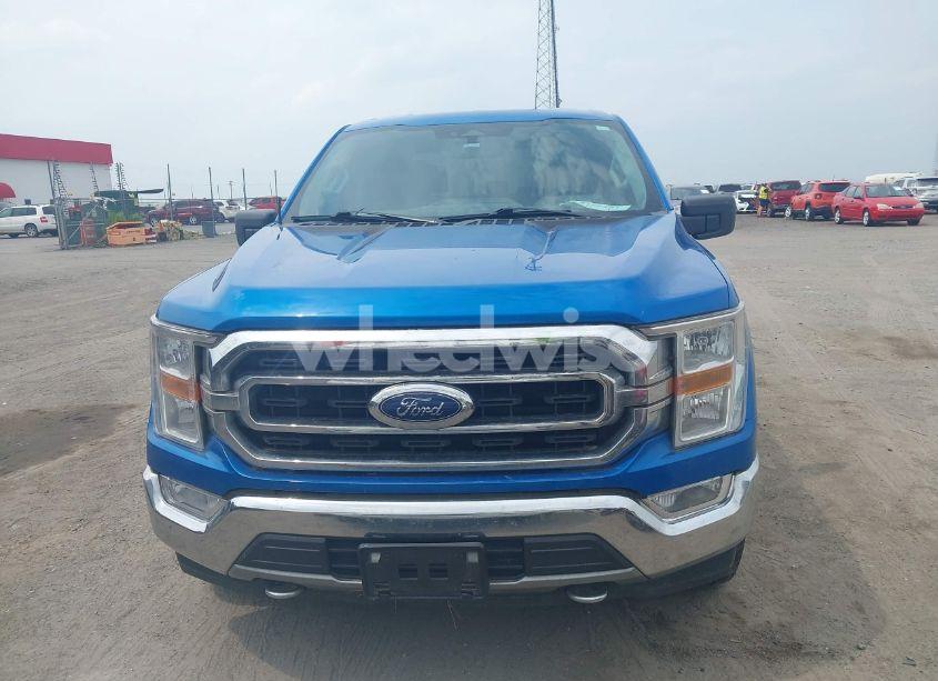 Photo 12 of 2021 Ford F-150 XLT (VIN 1FTFW1E55MFB60428)