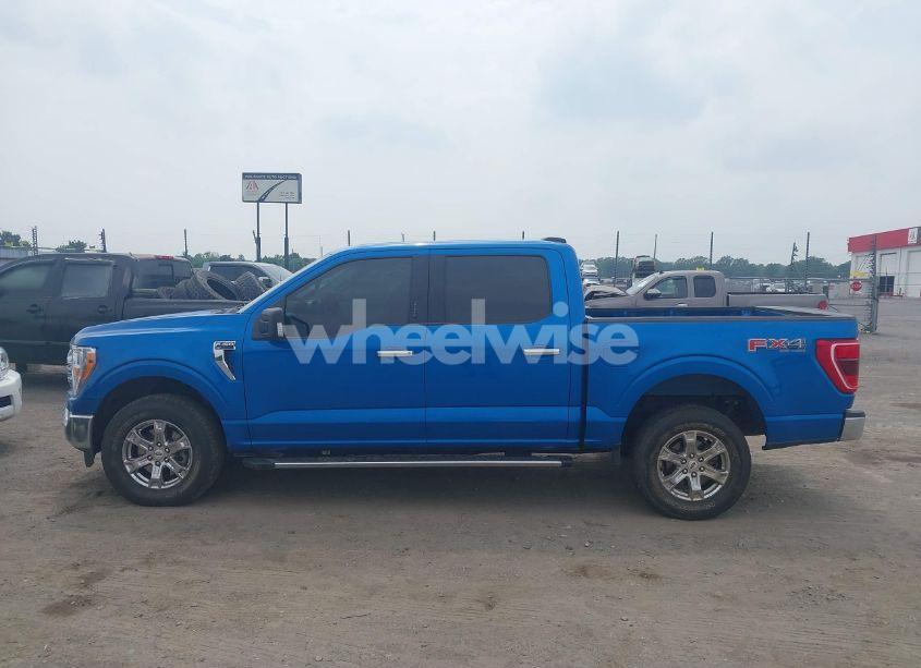 Photo 14 of 2021 Ford F-150 XLT (VIN 1FTFW1E55MFB60428)
