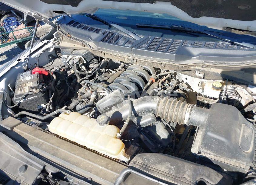 Photo 10 of 2021 Ford F-150 XLT (VIN 1FTFW1E55MFC17985)