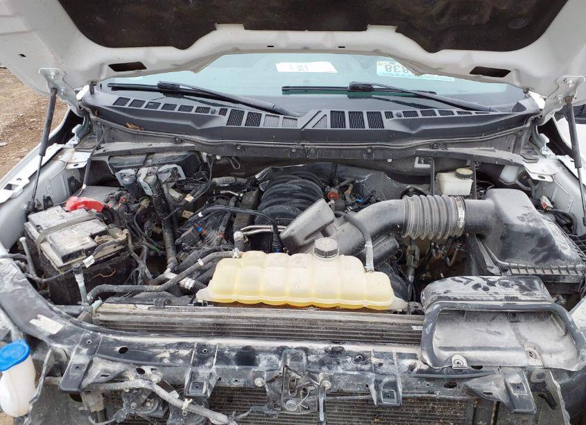 Photo 10 of 2021 Ford F-150 XLT (VIN 1FTFW1E55MKE70165)