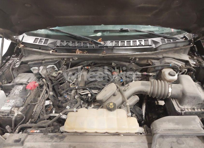 Photo 10 of 2019 Ford F-150 XLT (VIN 1FTFW1E56KFD02444)