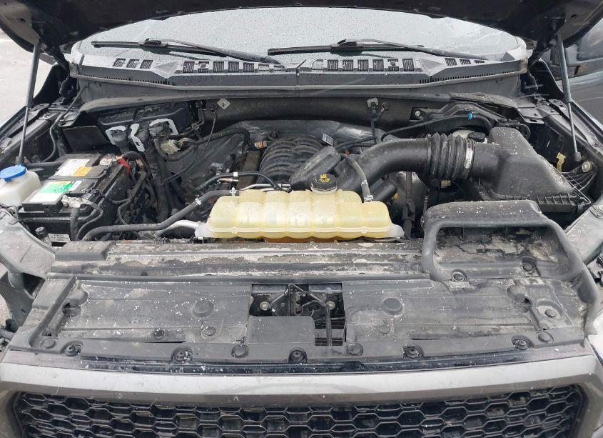 Photo 10 of 2020 Ford F-150 XLT (VIN 1FTFW1E56LFB01905)