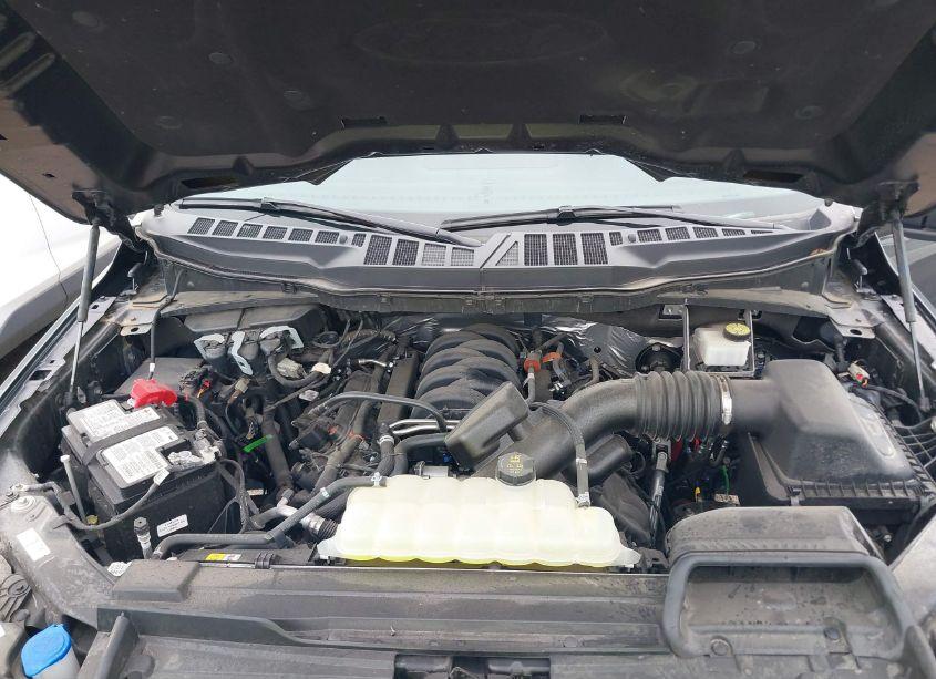 Photo 10 of 2023 Ford F-150 XLT (VIN 1FTFW1E56PFA42151)