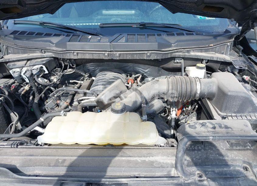 Photo 10 of 2023 Ford F-150 XLT (VIN 1FTFW1E56PFA62304)