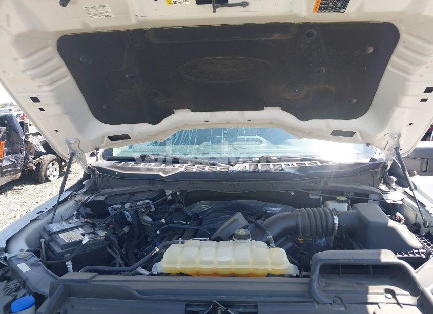 Photo 10 of 2021 Ford F-150 XLT (VIN 1FTFW1E57MFA86042)