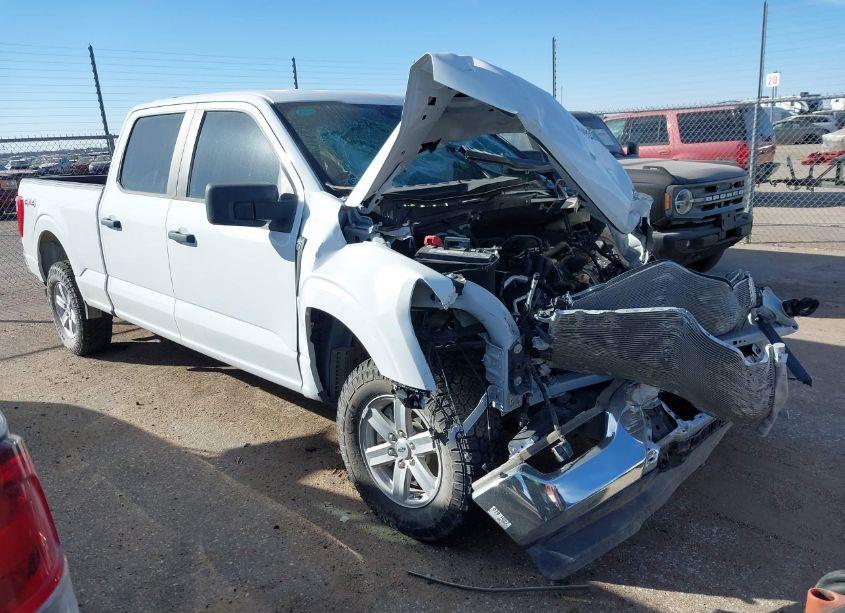 2023 Ford F-150 XL (VIN 1FTFW1E57PFB23966) main photo