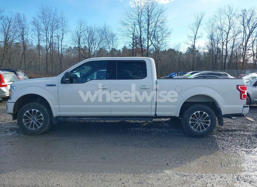 Photo 14 of 2018 Ford F-150 XLT (VIN 1FTFW1E58JFA85610)