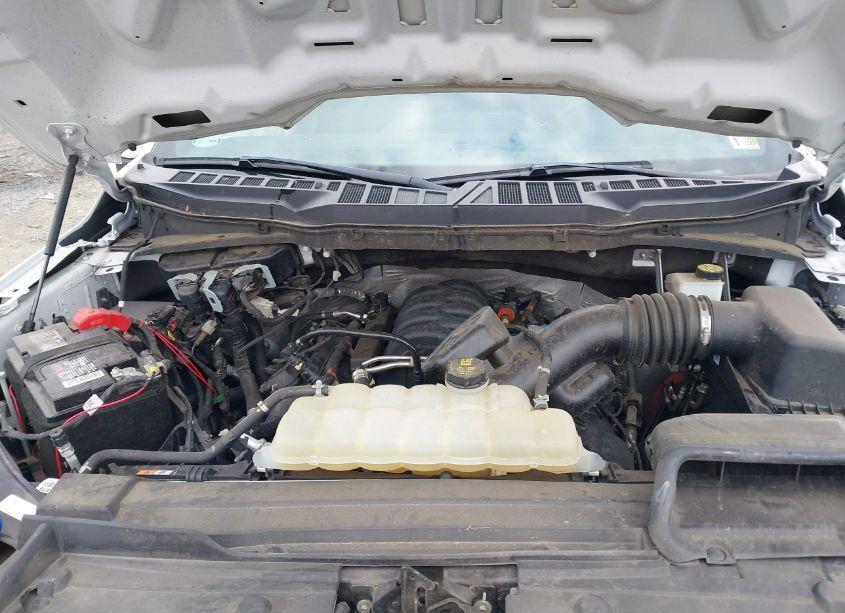 Photo 10 of 2021 Ford F-150 XL (VIN 1FTFW1E58MKF13154)