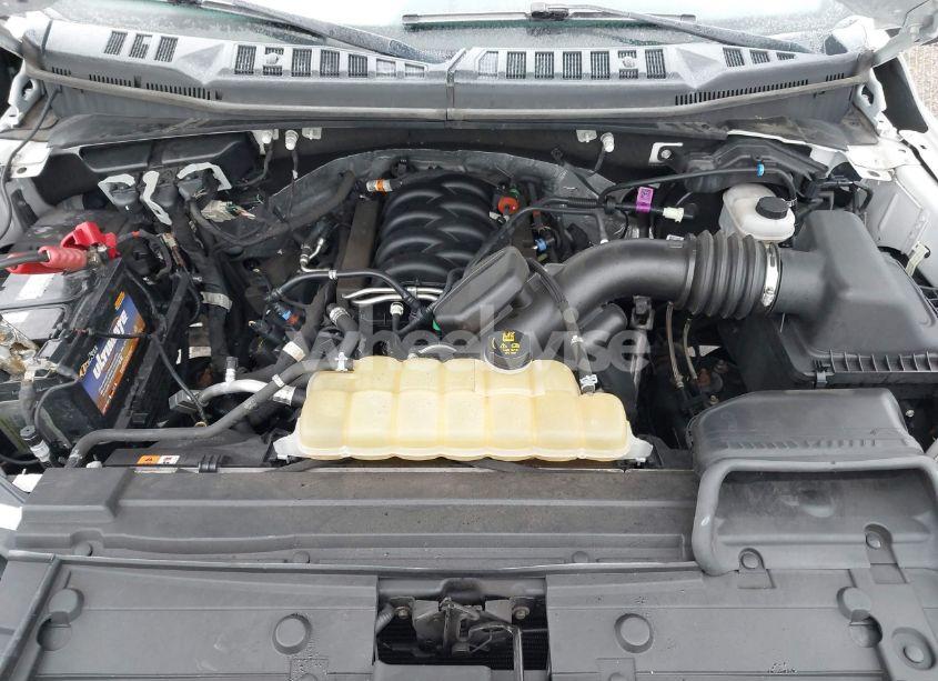 Photo 10 of 2019 Ford F-150 XLT (VIN 1FTFW1E59KKC73402)