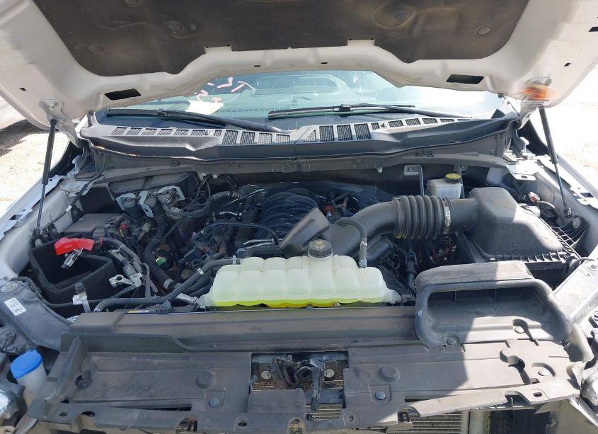 Photo 10 of 2023 Ford F-150 XLT (VIN 1FTFW1E59PFB56600)