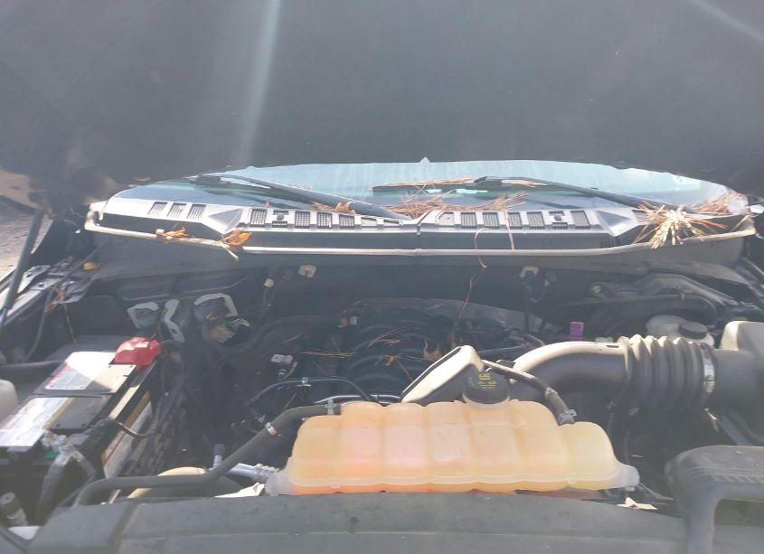 Photo 10 of 2018 Ford F-150 XLT (VIN 1FTFW1E5XJFB06165)