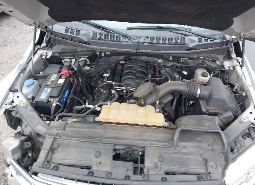 Photo 10 of 2018 Ford F-150 XLT (VIN 1FTFW1E5XJKC36499)