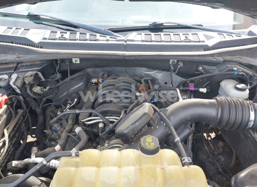 Photo 10 of 2019 Ford F-150 XLT (VIN 1FTFW1E5XKFD24737)