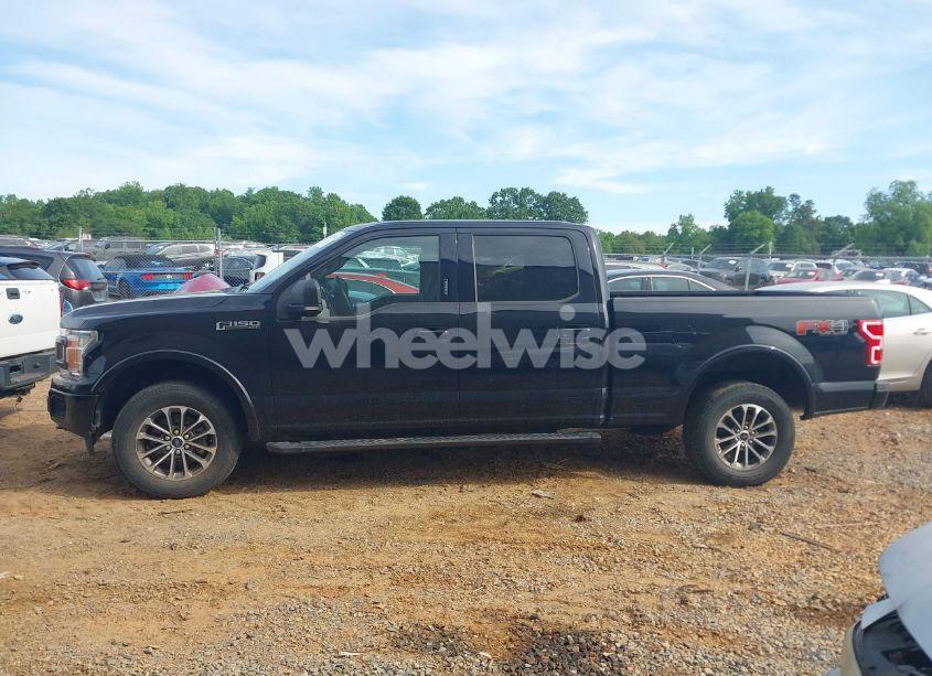 Photo 14 of 2019 Ford F-150 XLT (VIN 1FTFW1E5XKFD24737)
