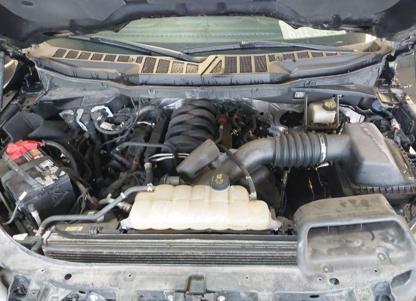 Photo 10 of 2021 Ford F-150 XLT (VIN 1FTFW1E5XMFA57599)