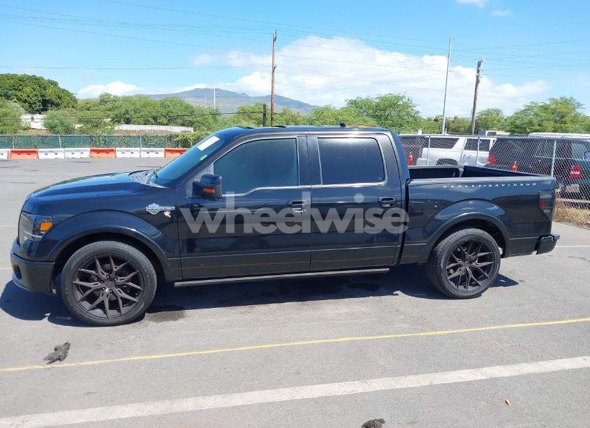 Photo 14 of 2012 Ford F-150 HARLEY-DAVIDSON (VIN 1FTFW1E62CFC17238)