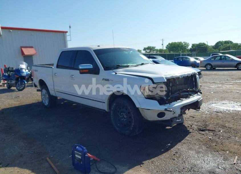 2013 Ford F-150 PLATINUM (VIN 1FTFW1E63DFD68137) main photo