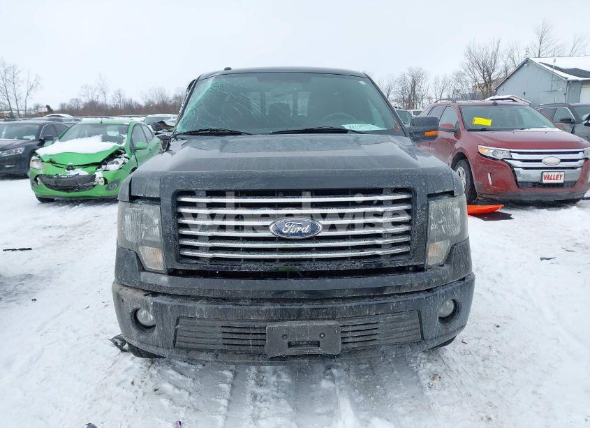 Photo 12 of 2012 Ford F-150 HARLEY-DAVIDSON (VIN 1FTFW1E64CFA84580)