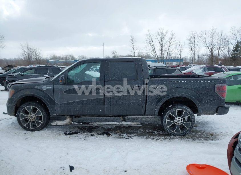 Photo 14 of 2012 Ford F-150 HARLEY-DAVIDSON (VIN 1FTFW1E64CFA84580)