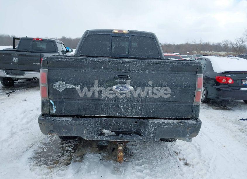 Photo 16 of 2012 Ford F-150 HARLEY-DAVIDSON (VIN 1FTFW1E64CFA84580)