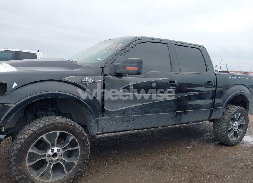 Photo 14 of 2012 Ford F-150 HARLEY-DAVIDSON (VIN 1FTFW1E69CFA22401)