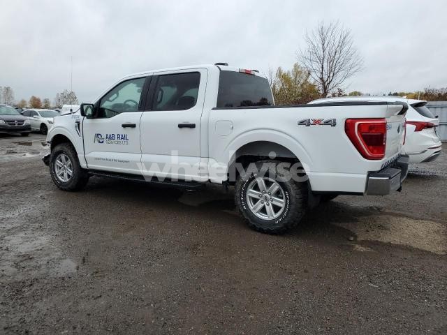 Photo 14 of 2023 FORD F150 SUPERCREW (VIN 1FTFW1E80PFB50792)