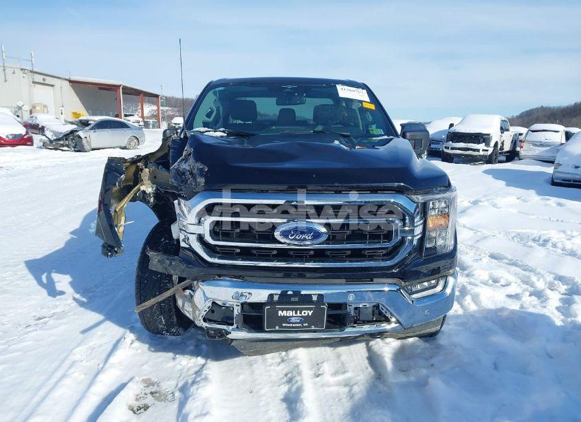 Photo 11 of 2023 Ford F-150 XLT (VIN 1FTFW1E80PKF39441)