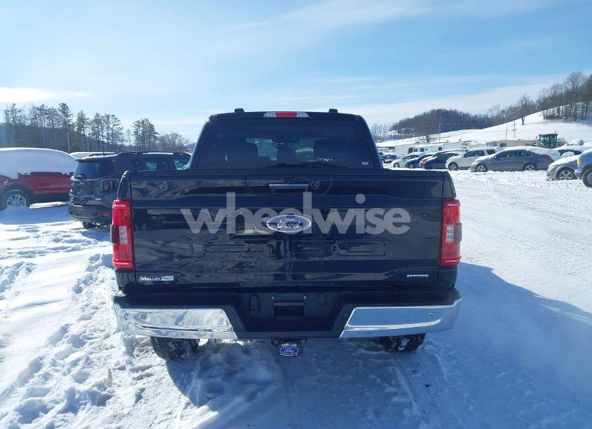 Photo 15 of 2023 Ford F-150 XLT (VIN 1FTFW1E80PKF39441)
