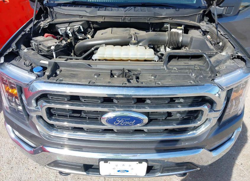 Photo 10 of 2022 Ford F-150 XLT (VIN 1FTFW1E81NKE78842)