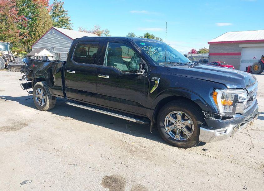 2023 Ford F-150 XLT (VIN 1FTFW1E81PFB71067) main photo