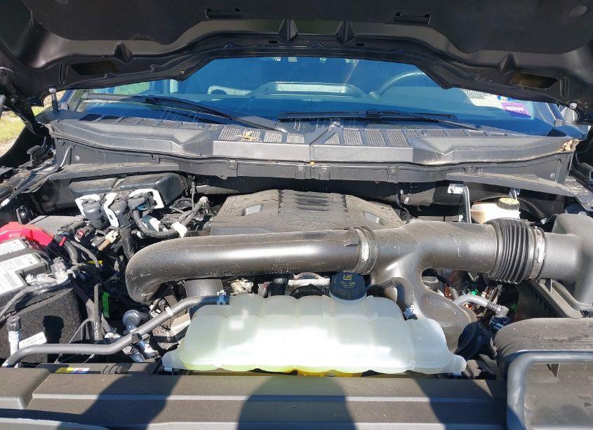 Photo 10 of 2023 Ford F-150 XLT (VIN 1FTFW1E81PFB71067)