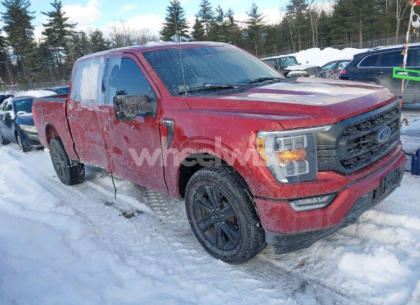 2023 Ford F-150 XLT (VIN 1FTFW1E81PKD97553) main photo