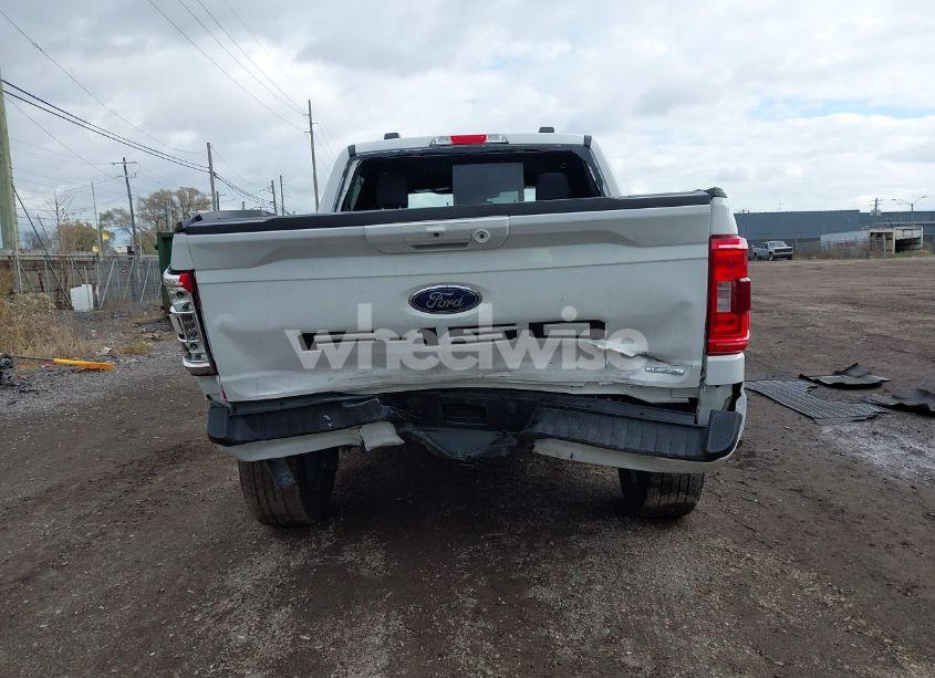Photo 17 of 2023 Ford F-150 XLT (VIN 1FTFW1E81PKF68723)