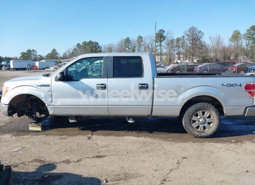 Photo 14 of 2010 Ford F-150 XL/XLT (VIN 1FTFW1E82AFC34944)