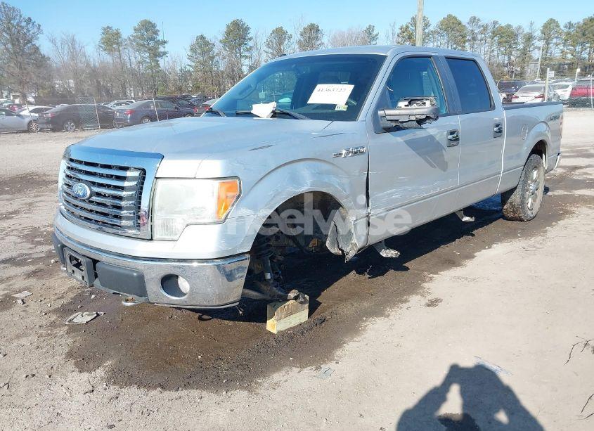 Photo 2 of 2010 Ford F-150 XL/XLT (VIN 1FTFW1E82AFC34944)