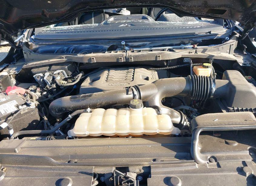 Photo 10 of 2021 Ford F-150 XLT (VIN 1FTFW1E82MFA93216)