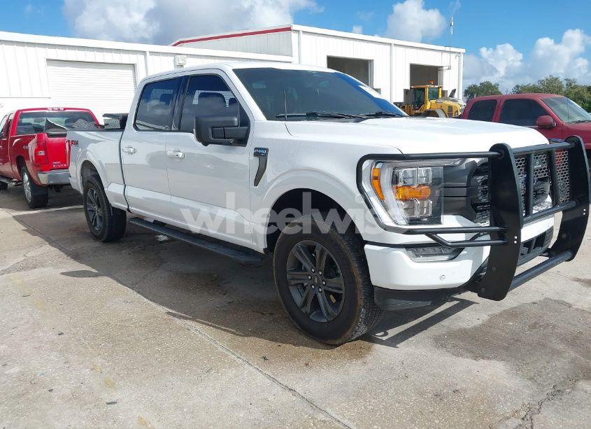 2023 Ford F-150 XLT (VIN 1FTFW1E82PKE17003) main photo