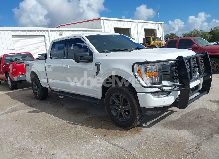 Photo 13 of 2023 Ford F-150 XLT (VIN 1FTFW1E82PKE17003)