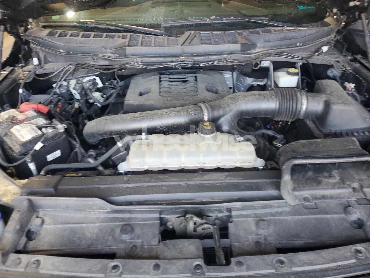 Photo 11 of 2021 FORD F150 SUPERCREW (VIN 1FTFW1E83MFB20410)