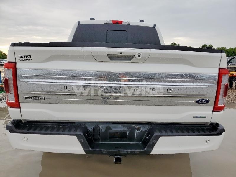 Photo 7 of 2022 FORD F150 SUPERCREW (VIN 1FTFW1E83NFB42036)