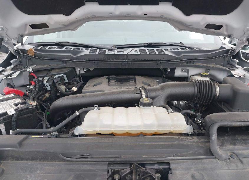 Photo 10 of 2022 Ford F-150 XLT (VIN 1FTFW1E83NFB50234)