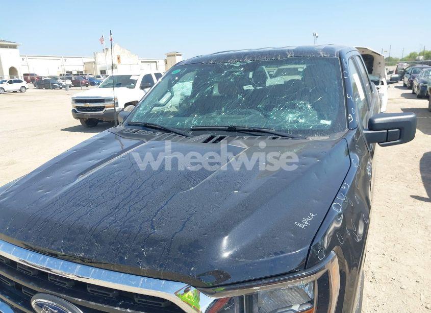 Photo 6 of 2023 Ford F-150 XLT (VIN 1FTFW1E83PFC52457)