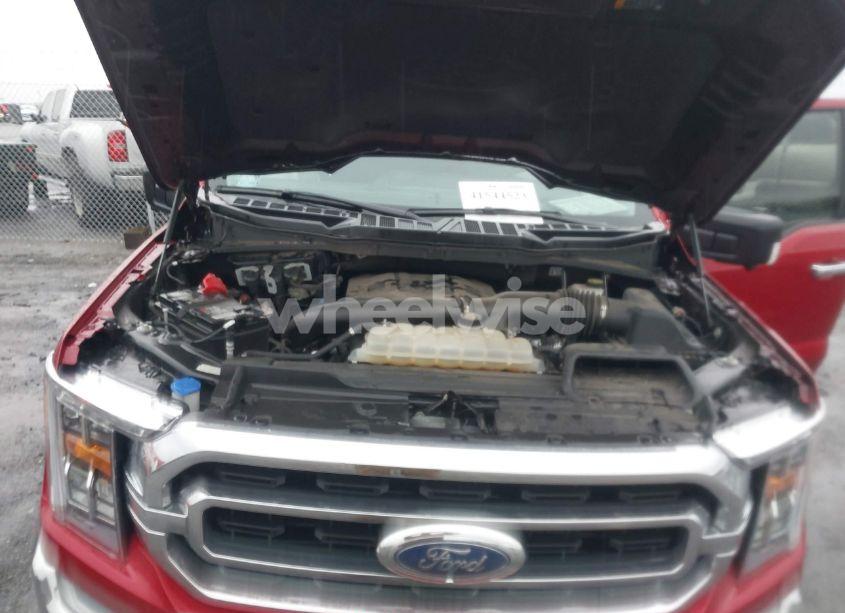 Photo 10 of 2021 Ford F-150 XLT (VIN 1FTFW1E84MKE97559)