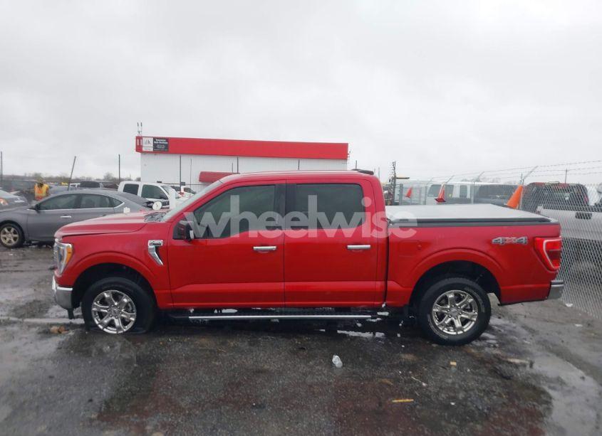 Photo 14 of 2021 Ford F-150 XLT (VIN 1FTFW1E84MKE97559)