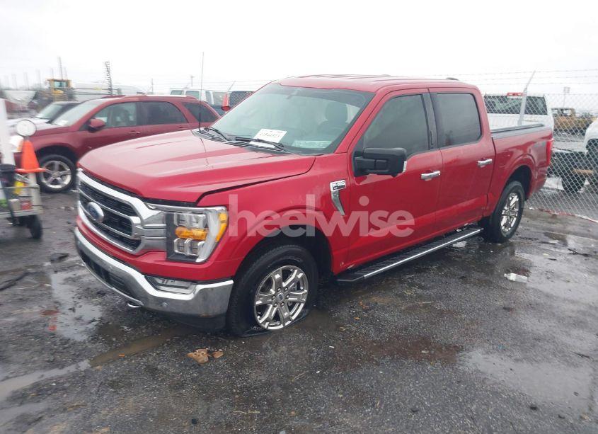 Photo 2 of 2021 Ford F-150 XLT (VIN 1FTFW1E84MKE97559)